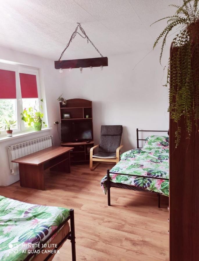 Gromadzyniowka-Pod Czarnym Kogutem Ustrzyki Dolne Exterior photo